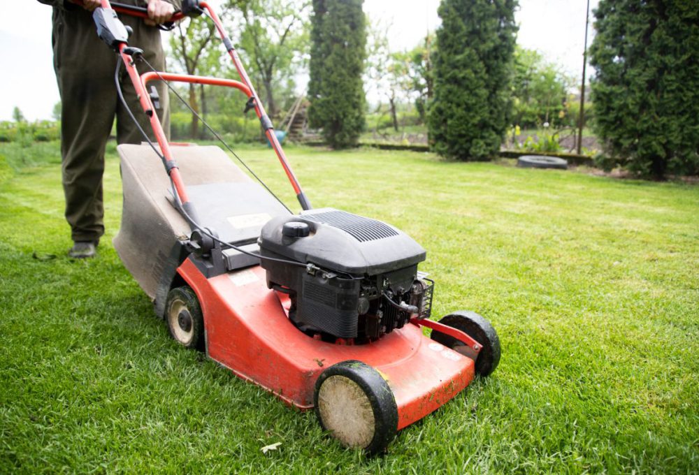 All Seasons Lawn Care & Mowing of Grapevine48